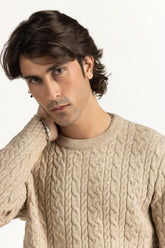 Regular Fit Sweater MN-SWT-WS25-041