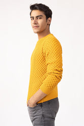 Mustard Fashion Sweater FS-SWT-FD-269-01