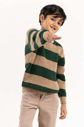 Toddler Boy Green And Brown Knit Sweater 224-511-035