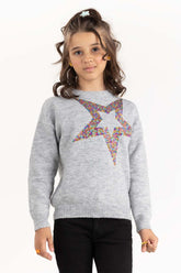 Junior Girl Grey Sweater With Round Neck 224-411-003