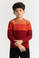 Junior Boy Multi Basic Sweater JB-SWT-WS23-016