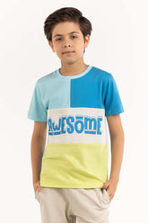 Junior Boy Multi T-Shirt 231-313-036