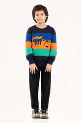 Toddler Boy Multi Sweater 224-511-005