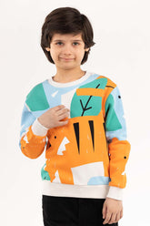 Toddler Boy Multi Sweatshirt 224-512-002