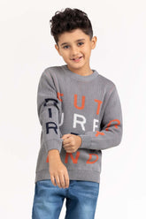 Toddler Boy Grey Knitted Sweater 224-511-043