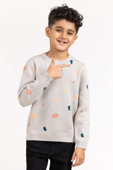 Toddler Boy Light Grey Knit Sweater 224-511-022