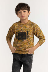 Toddler Boy Multi Basic Sweater TB-SWT-WS23-036