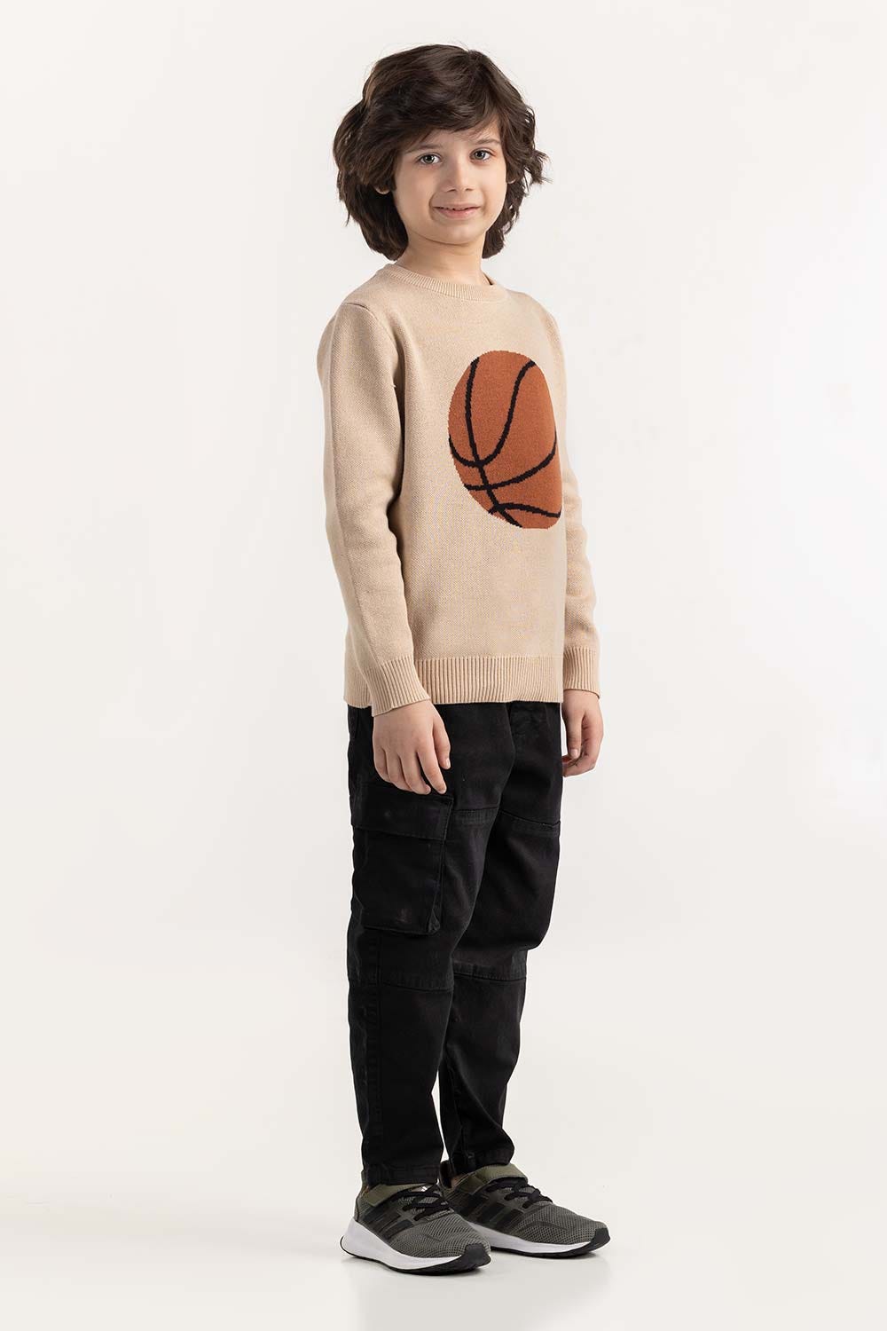 Junior Boy Beige Knit Sweater 224-311-045