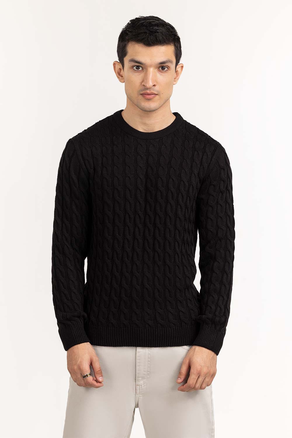 Black Knitted Regular Sweater 224-111-022