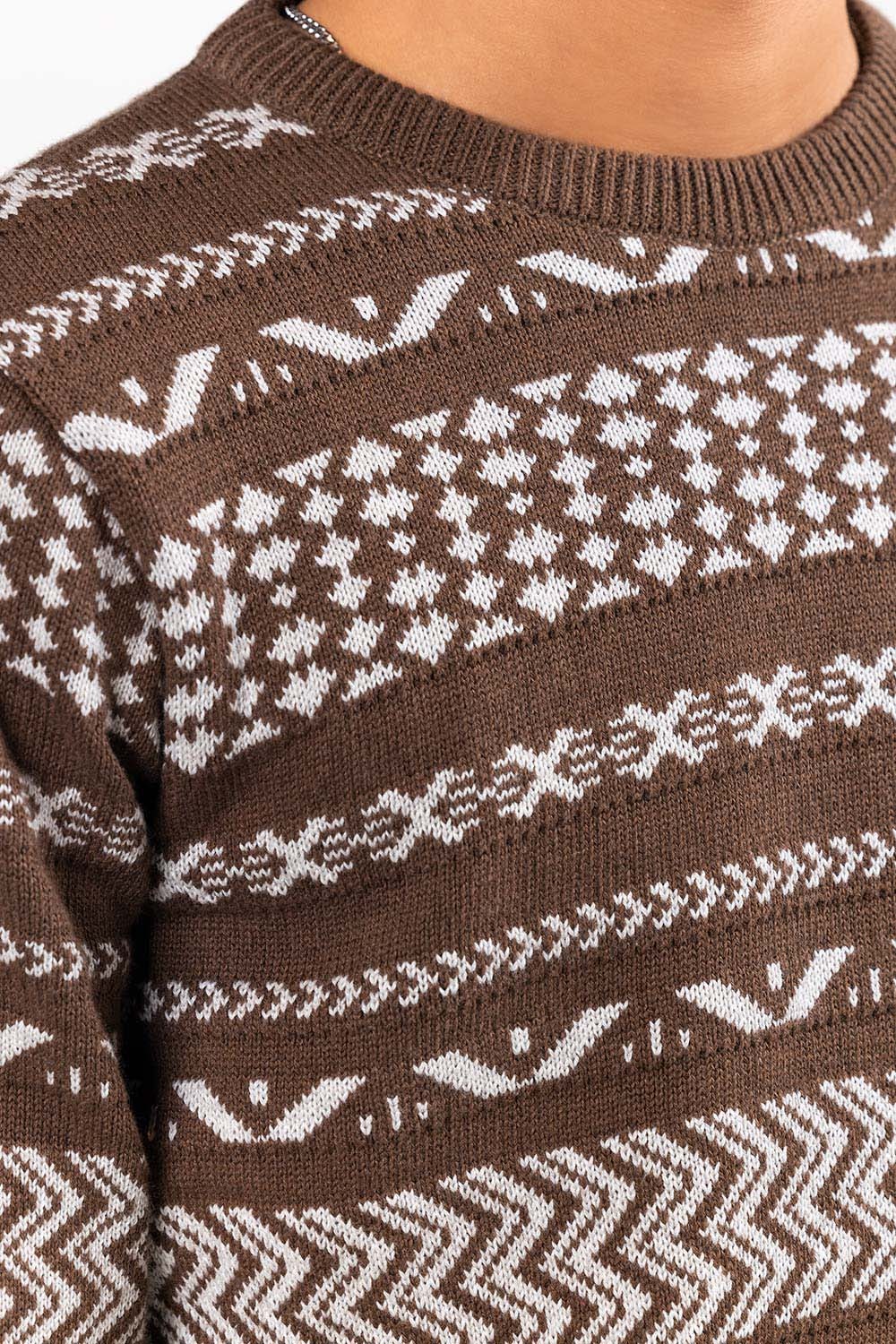 Brown Fashion Sweater FS-SWT-FD-401-01