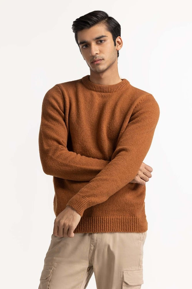 Brown Fashion Sweater MN-SWT-WS23-007