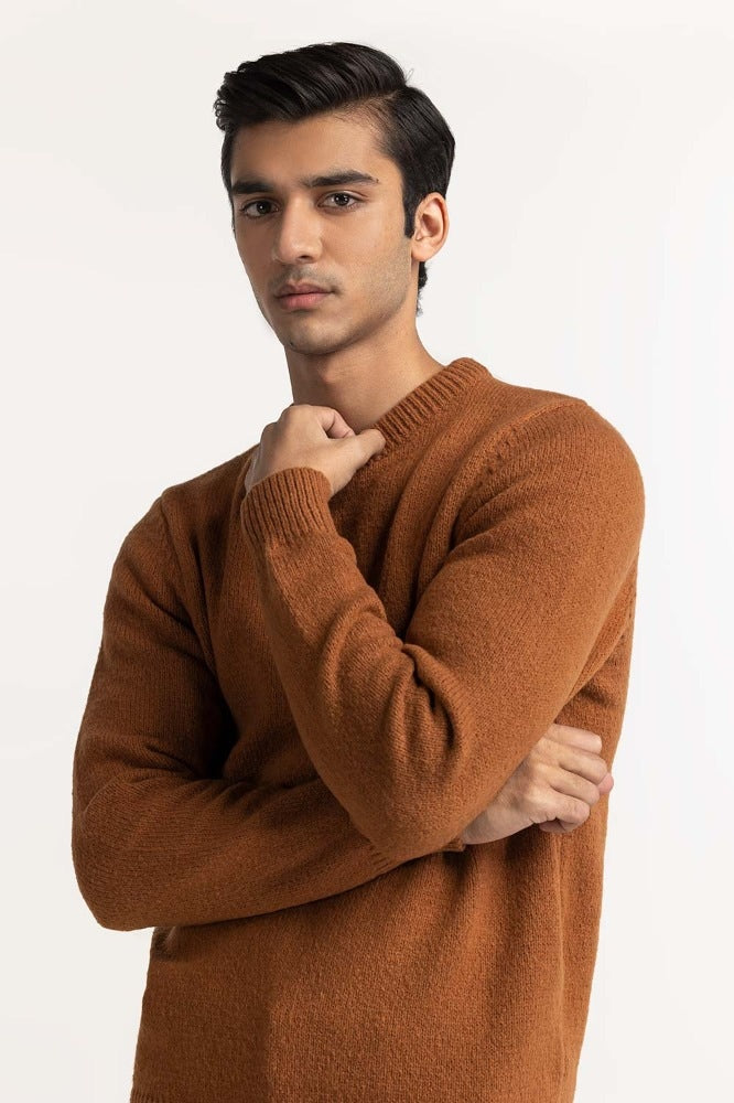 Brown Fashion Sweater MN-SWT-WS23-007