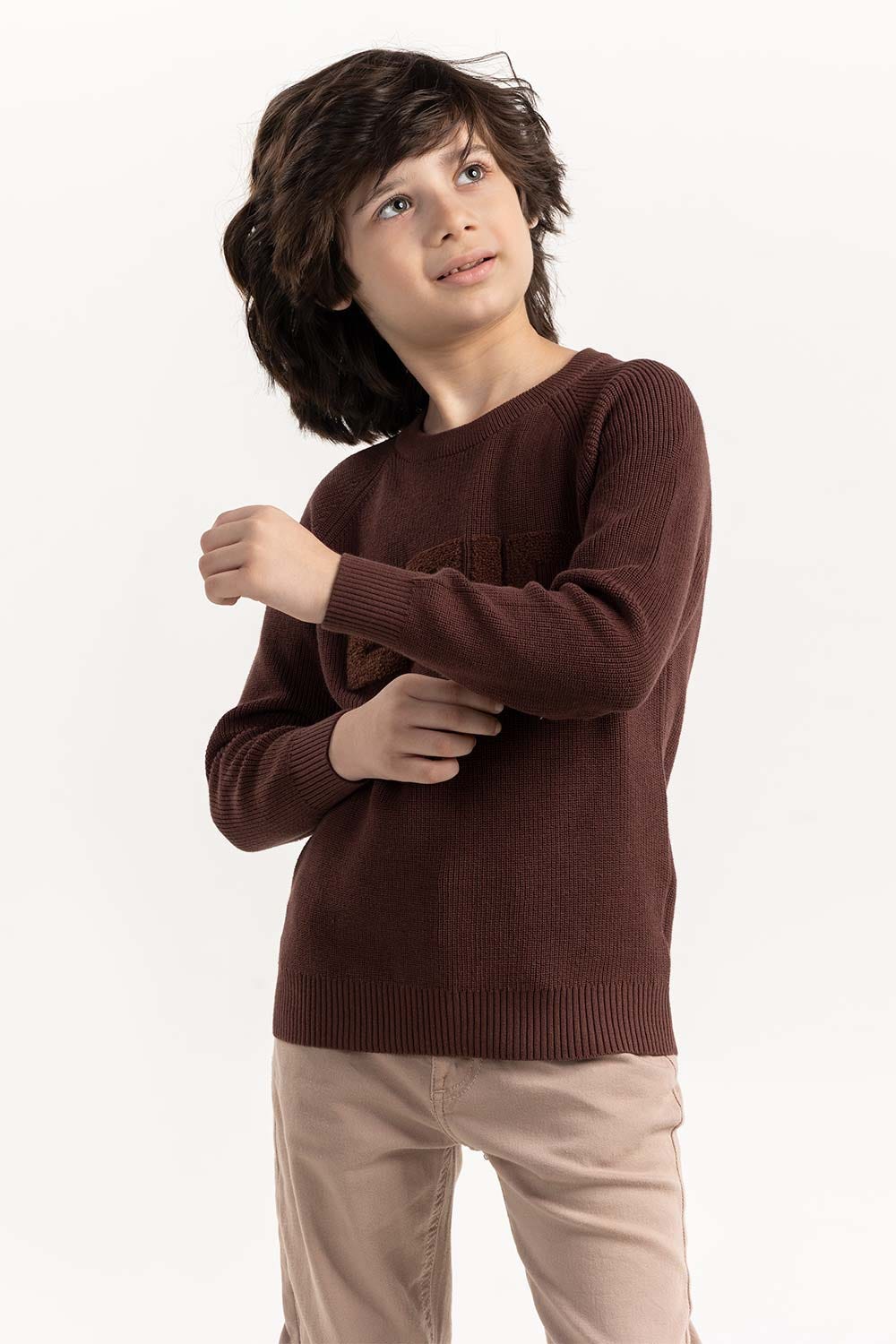Junior Boy Brown Knit Sweater 224-311-015