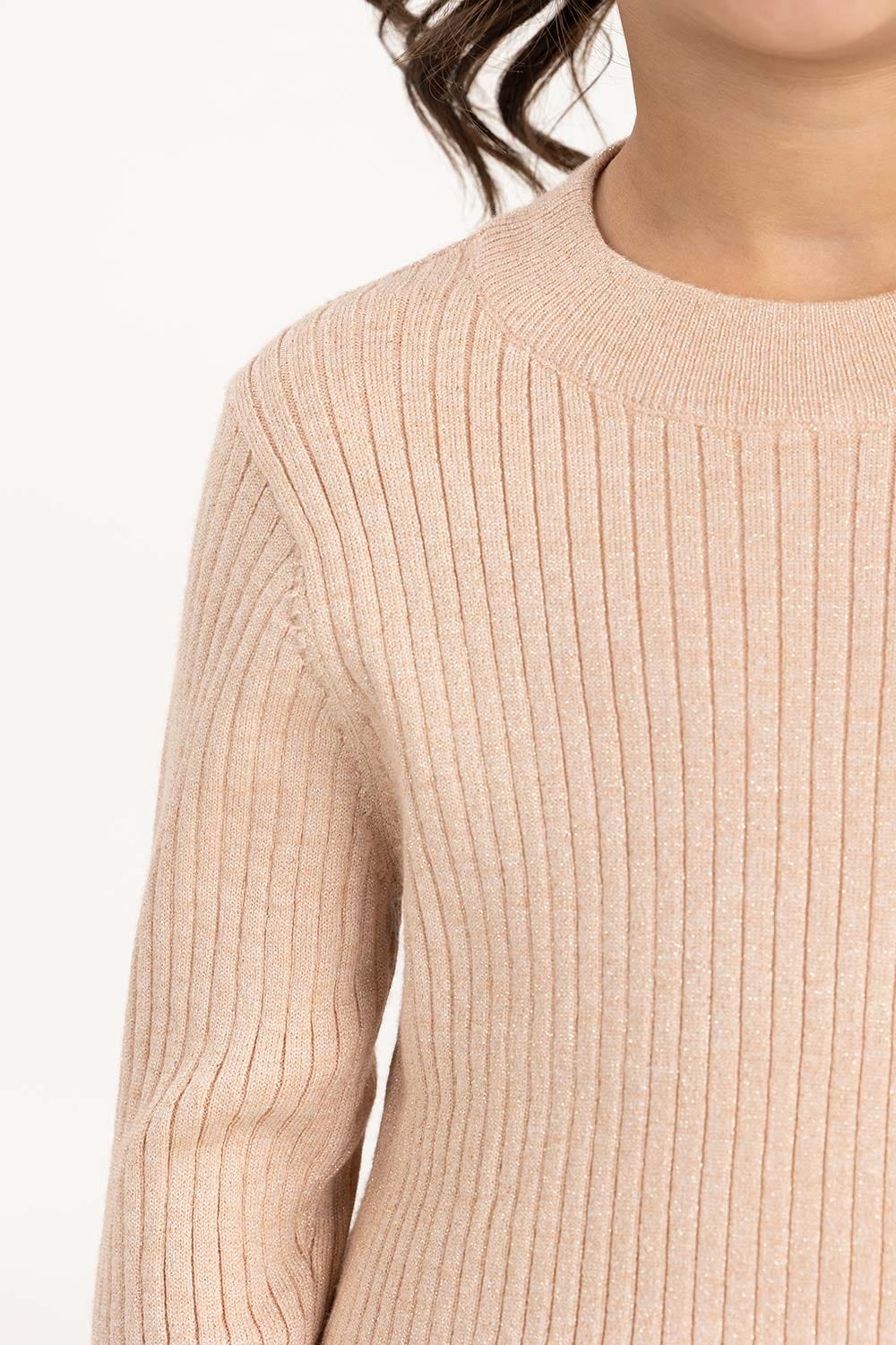 Toddler Girl Brown Ribbed Sweater With Turtle Neck 224-616-303