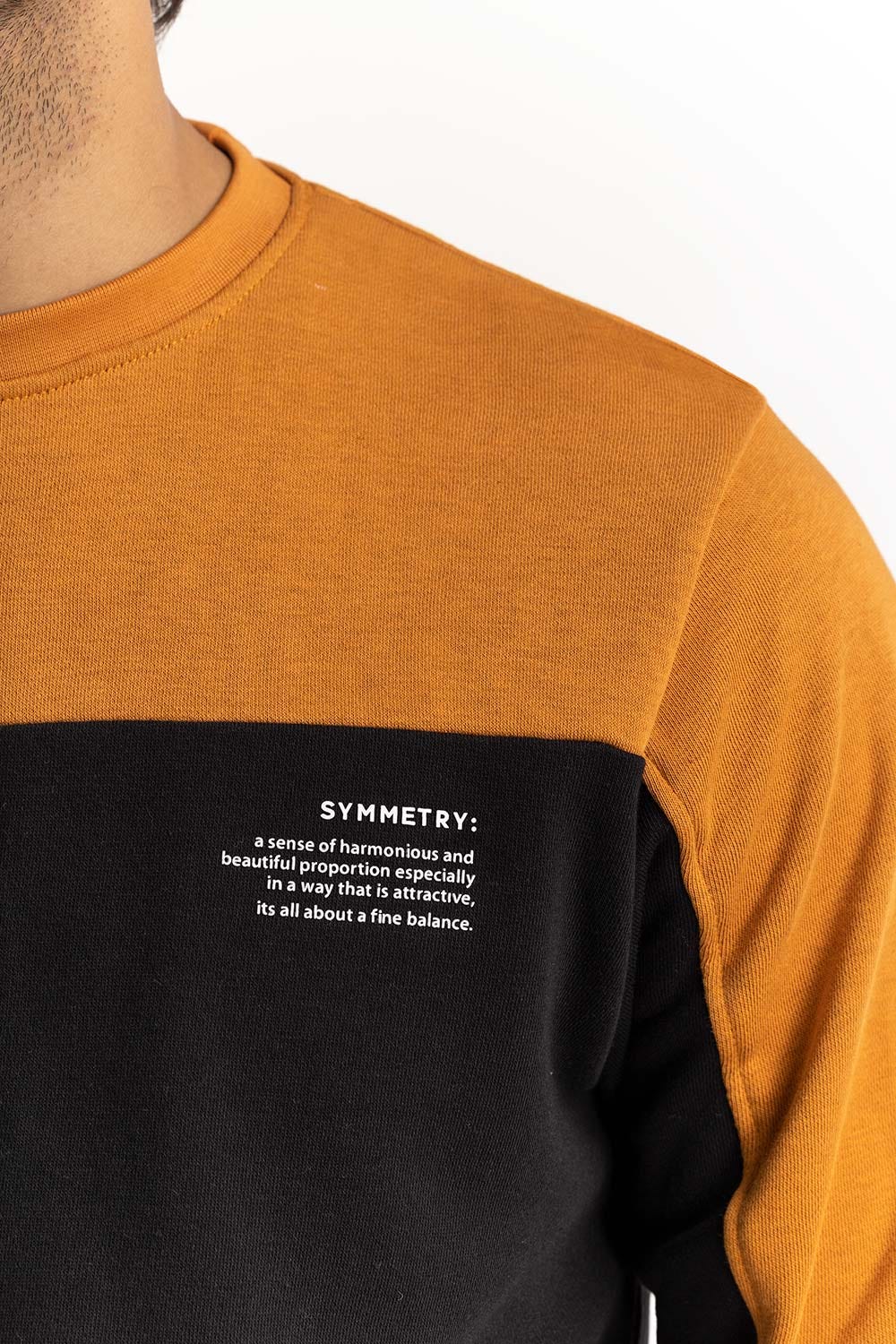 Color Block SweatShirt SWS-F22-038