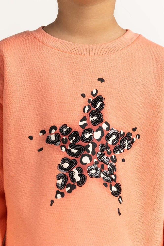 Coral Printed Sweatshirt 224-612-002
