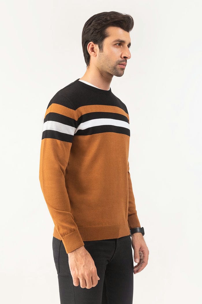 Brown Fashion Sweater FS-SWT-FD-248-01