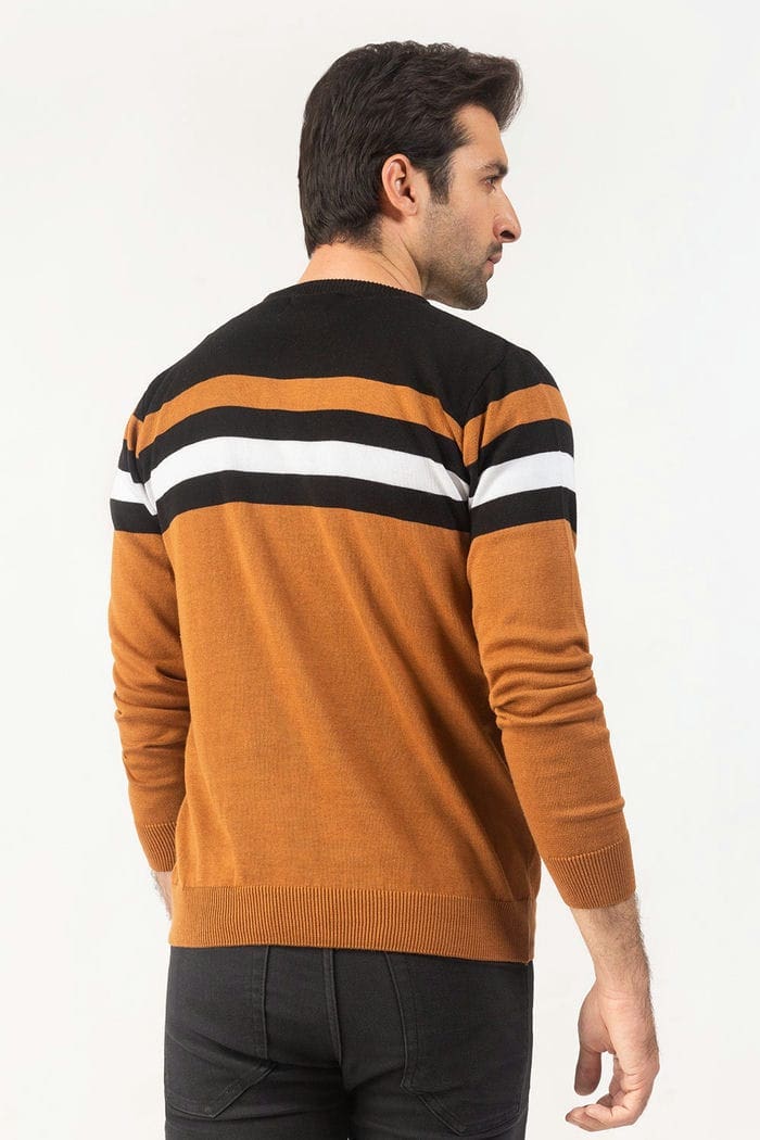 Brown Fashion Sweater FS-SWT-FD-248-01