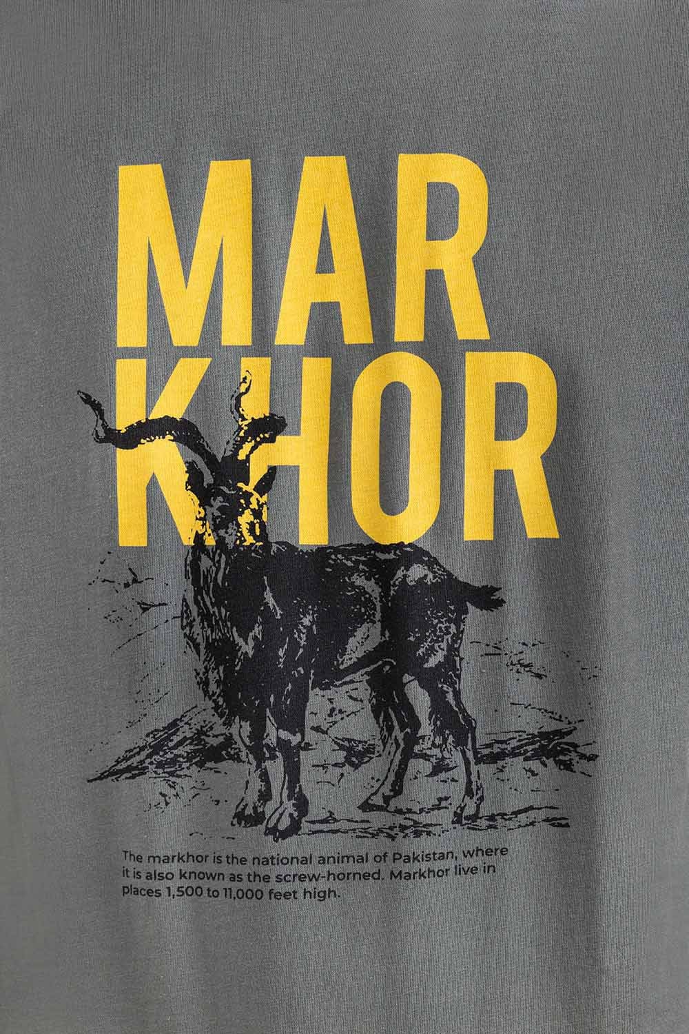 Grey Graphic Tee JGP-URB-D253-01