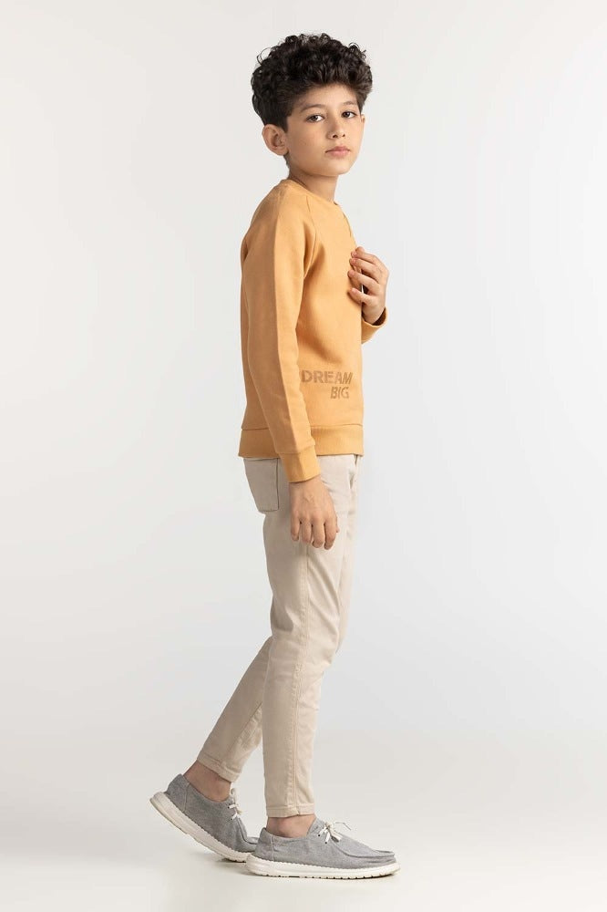 Junior Boy Clay Printed Sweatshirt 224-312-075