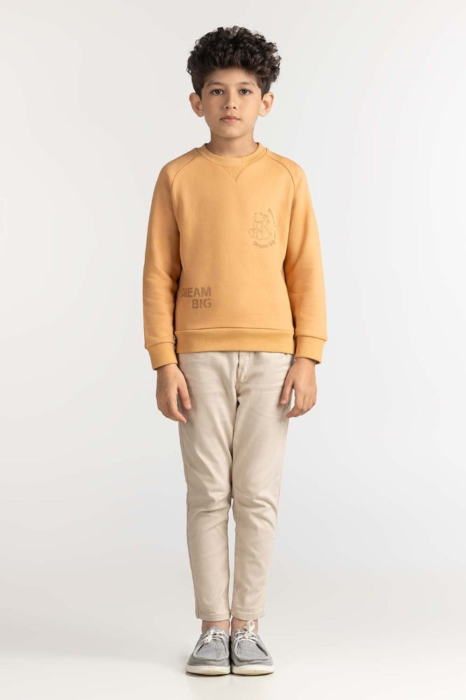 Junior Boy Clay Printed Sweatshirt 224-312-075