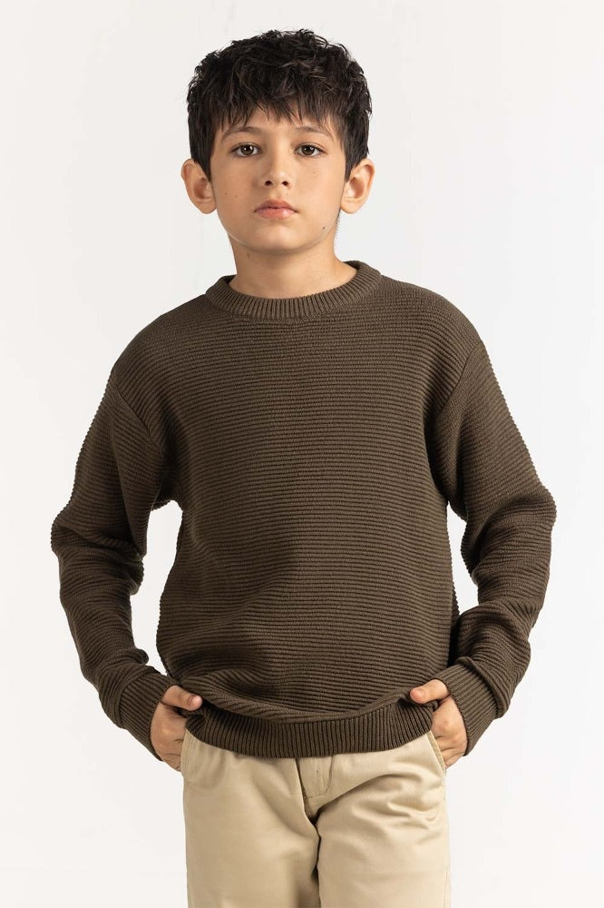 Junior Boy Green Basic Sweater JB-SWT-WS23-033
