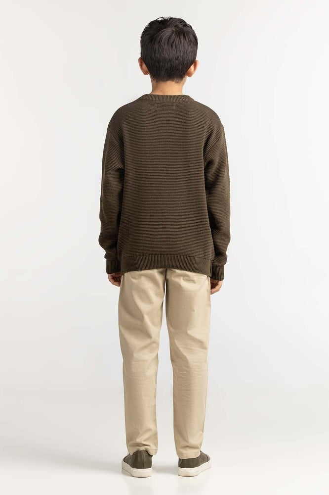 Junior Boy Green Basic Sweater JB-SWT-WS23-033