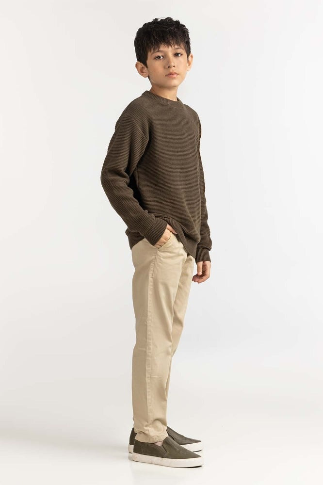 Junior Boy Green Basic Sweater JB-SWT-WS23-033