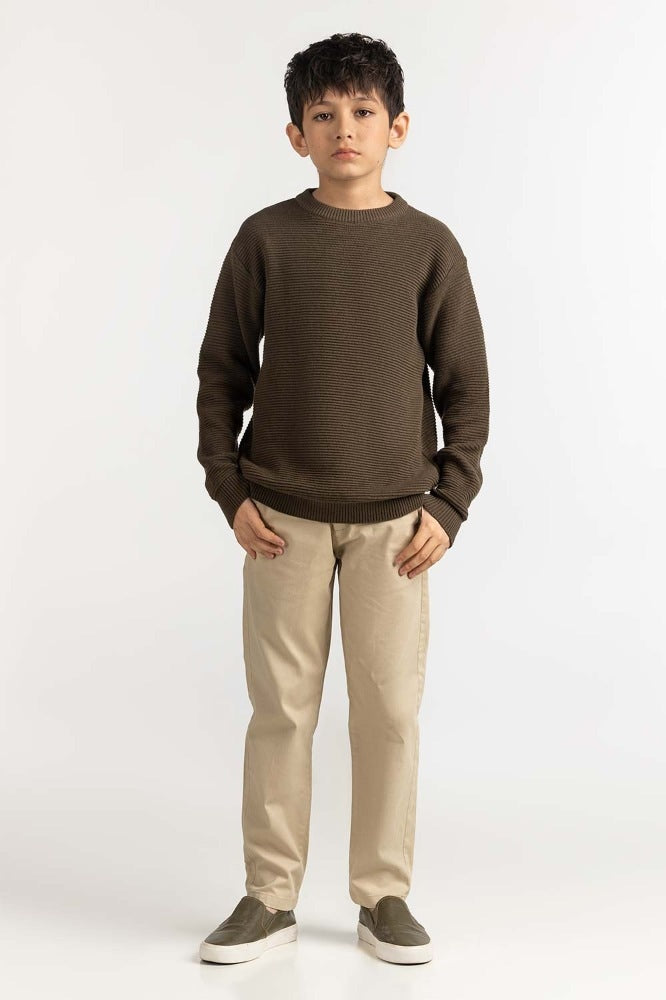 Junior Boy Green Basic Sweater JB-SWT-WS23-033