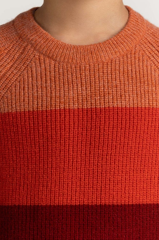 Junior Boy Multi Basic Sweater JB-SWT-WS23-016