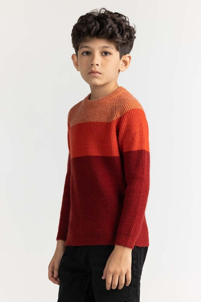 Junior Boy Multi Basic Sweater JB-SWT-WS23-016