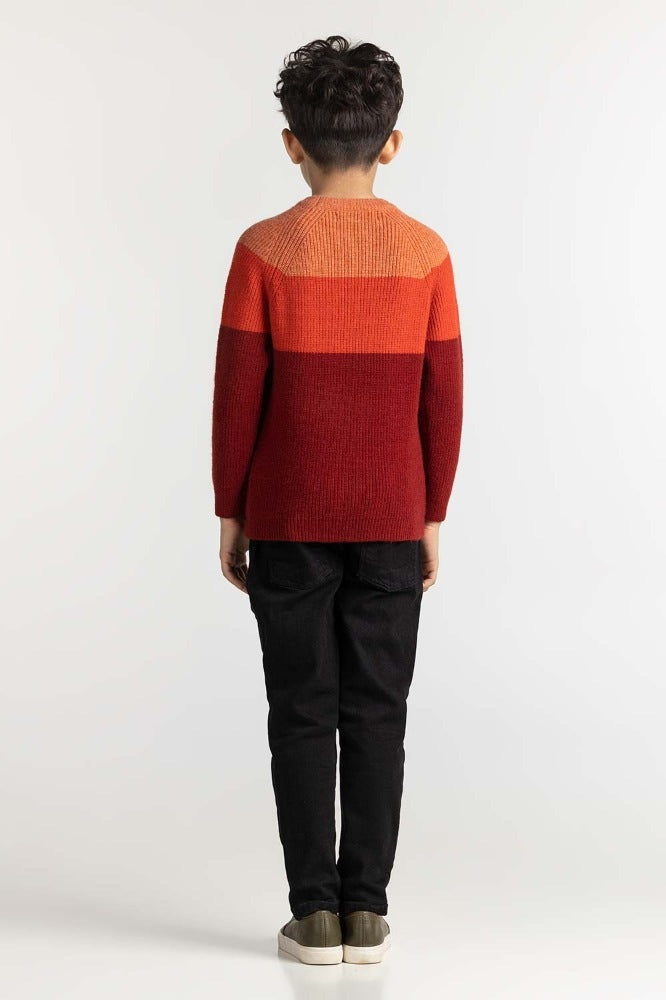 Junior Boy Multi Basic Sweater JB-SWT-WS23-016