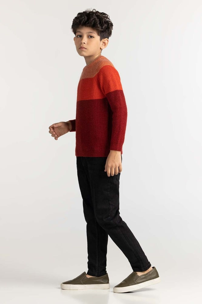 Junior Boy Multi Basic Sweater JB-SWT-WS23-016