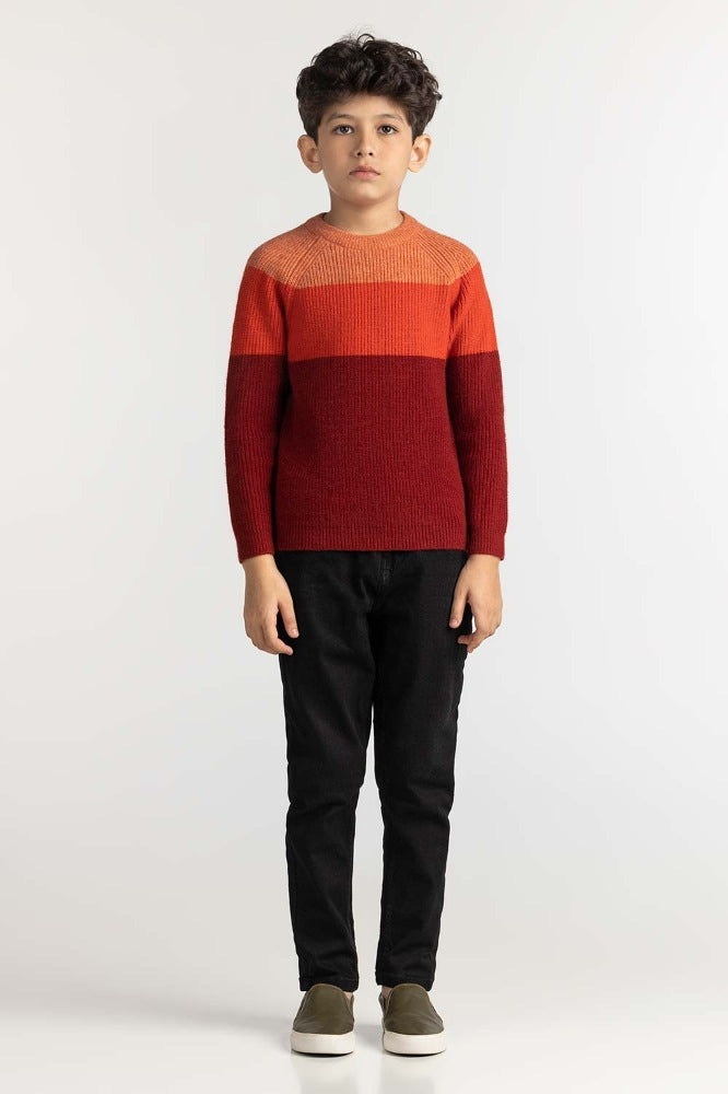 Junior Boy Multi Basic Sweater JB-SWT-WS23-016