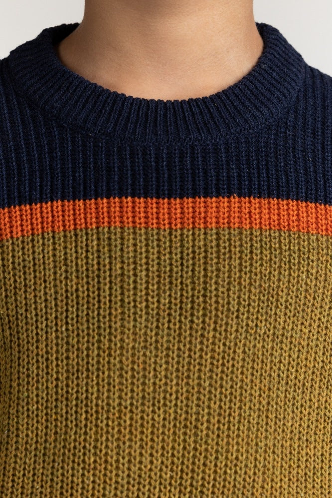 Junior Boy Multi Basic Sweater JB-SWT-WS23-026