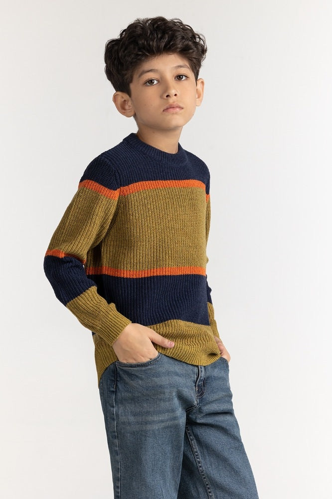 Junior Boy Multi Basic Sweater JB-SWT-WS23-026