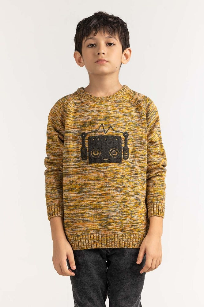 Junior Boy Multi Basic Sweater JB-SWT-WS23-036