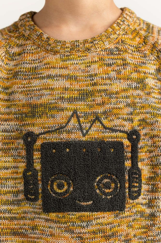 Junior Boy Multi Basic Sweater JB-SWT-WS23-036