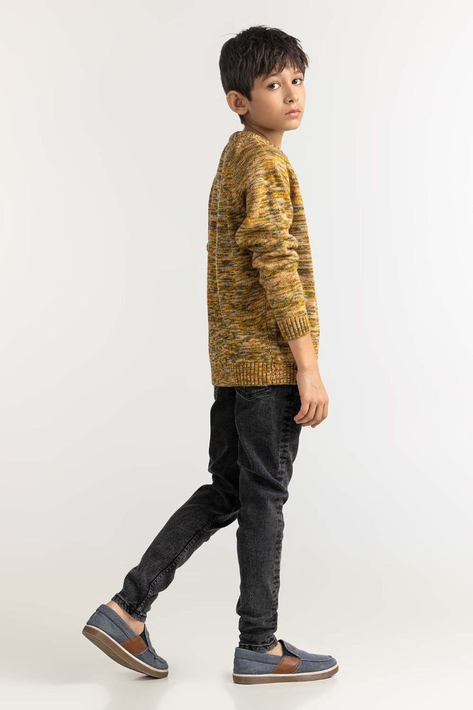 Junior Boy Multi Basic Sweater JB-SWT-WS23-036