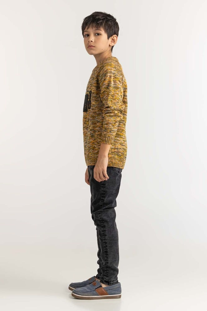 Junior Boy Multi Basic Sweater JB-SWT-WS23-036