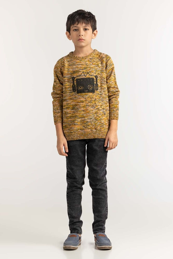 Junior Boy Multi Basic Sweater JB-SWT-WS23-036