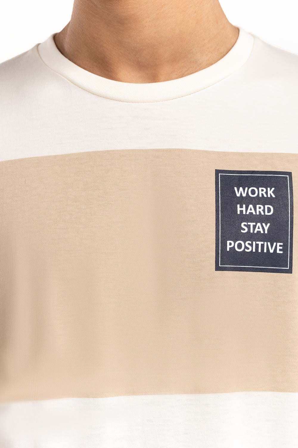 Multi Striped Print T-Shirt 224-113-042