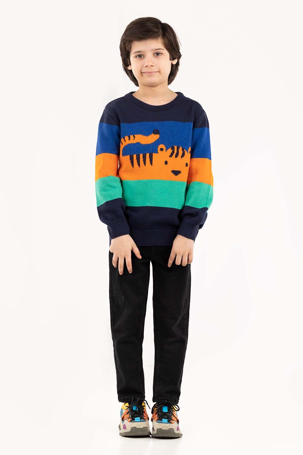 Toddler Boy Multi Sweater 224-511-005