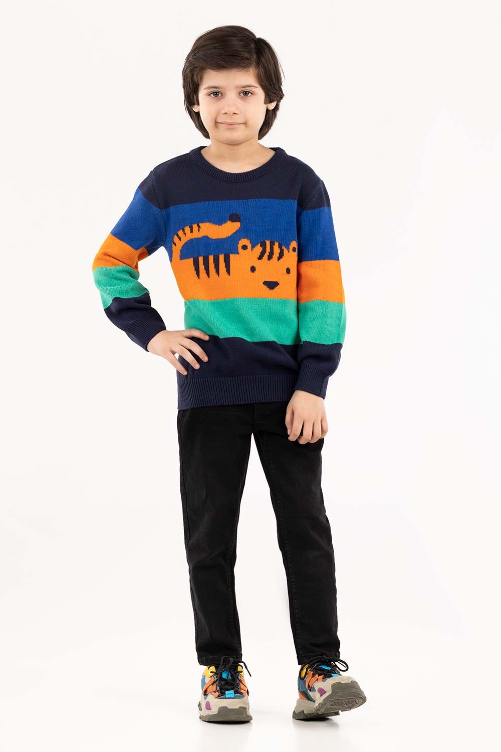 Toddler Boy Multi Sweater 224-511-005