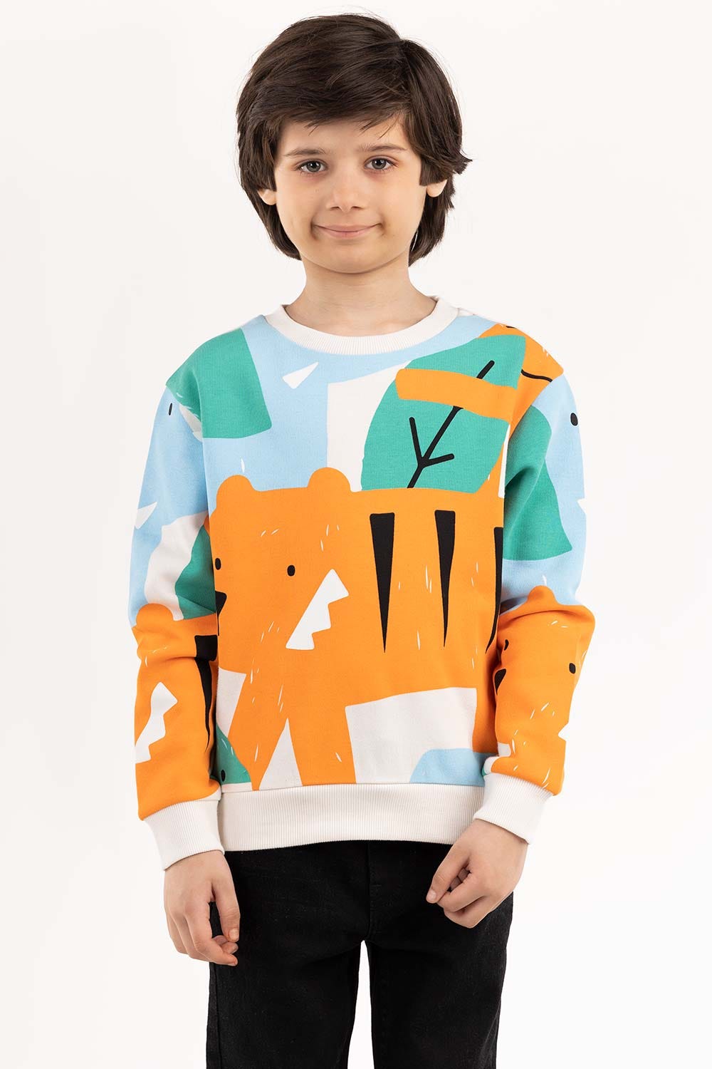 Toddler Boy Multi Sweatshirt 224-512-002