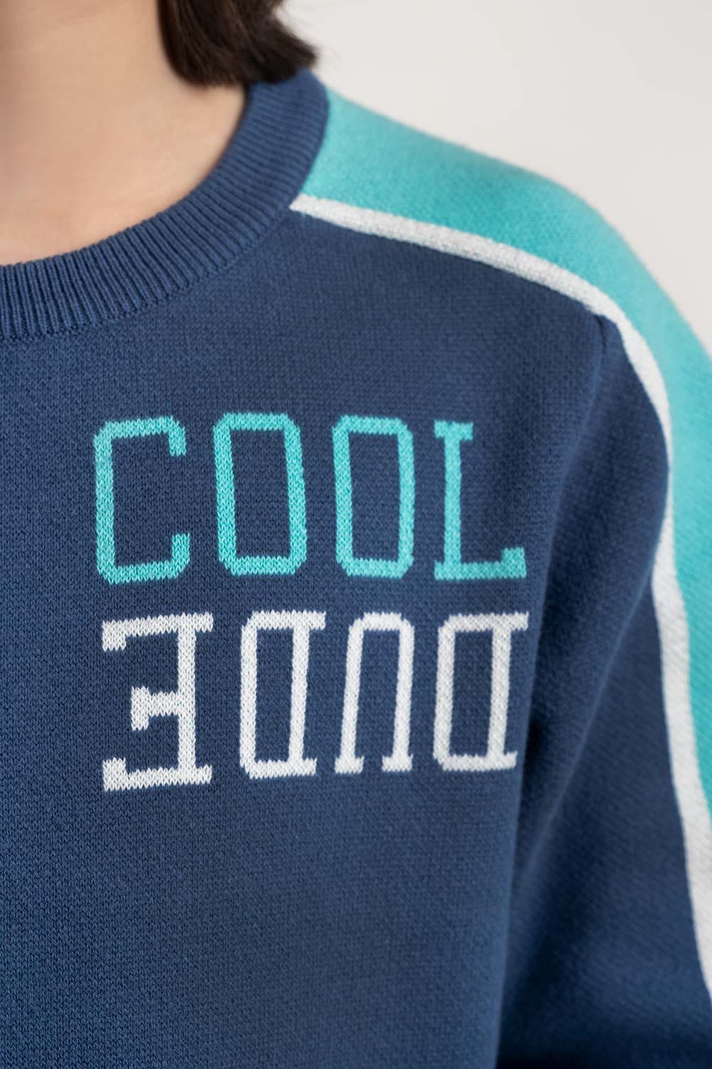 Junior Boy Navy Knit Sweater 224-311-029