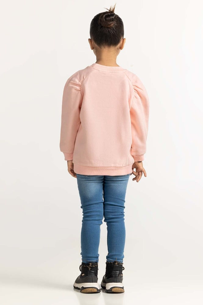 Pink Embroidered Sweatshirt 224-612-008