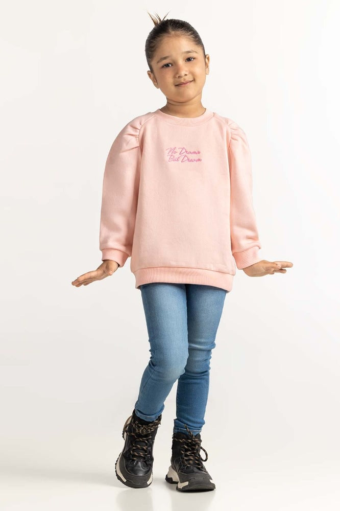 Pink Embroidered Sweatshirt 224-612-008