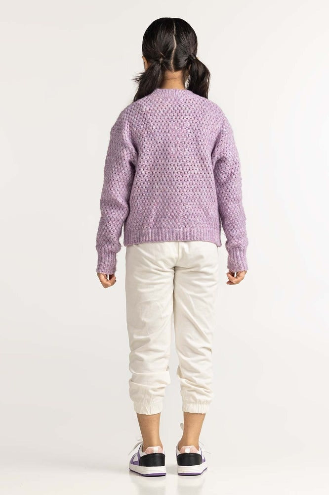 Purple Basic Sweater JG-SWT-WS23-006