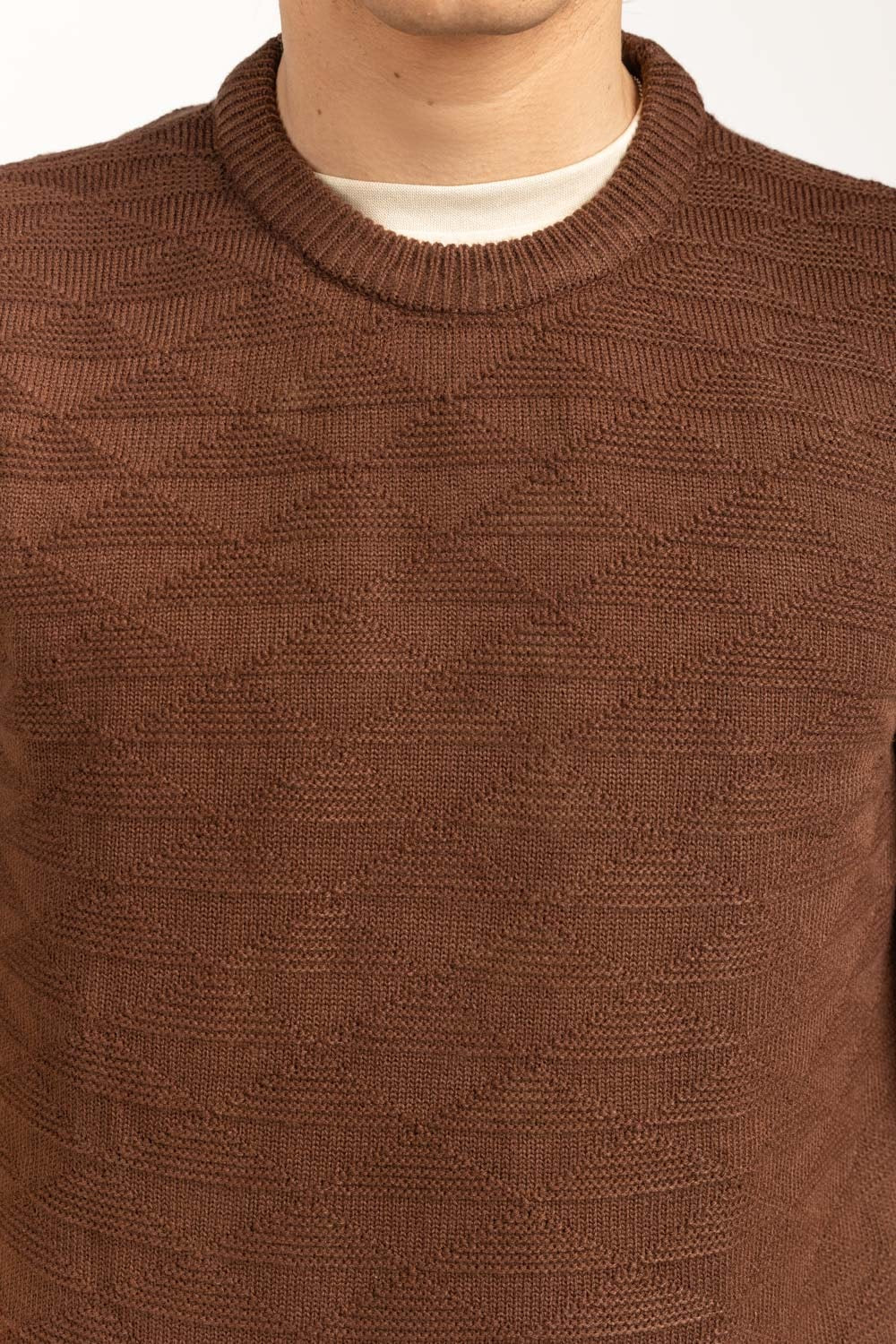 Regular Fit Sweater MN-SWT-WS24-168